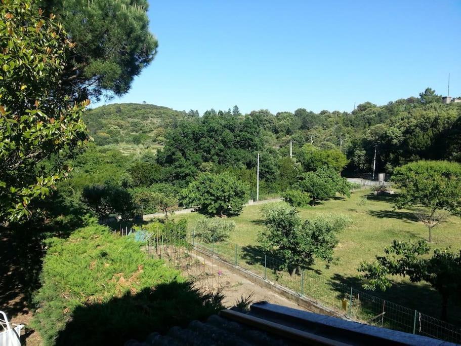 Appartement Au Fond Du Jardin Saint Jean du Pin المظهر الخارجي الصورة